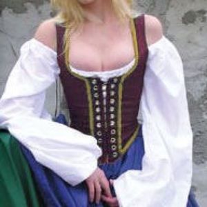 NWOT Blue Renaissance Faire bodice